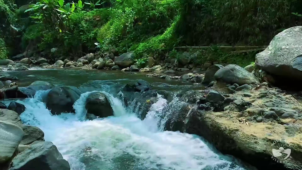 River Sound for Sleeping All Night Relaxing River Stream for Calm and Better Rest