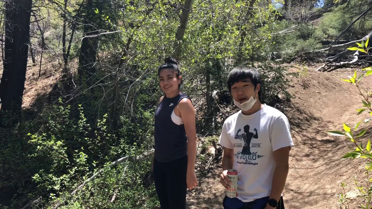 Pineknot Trail