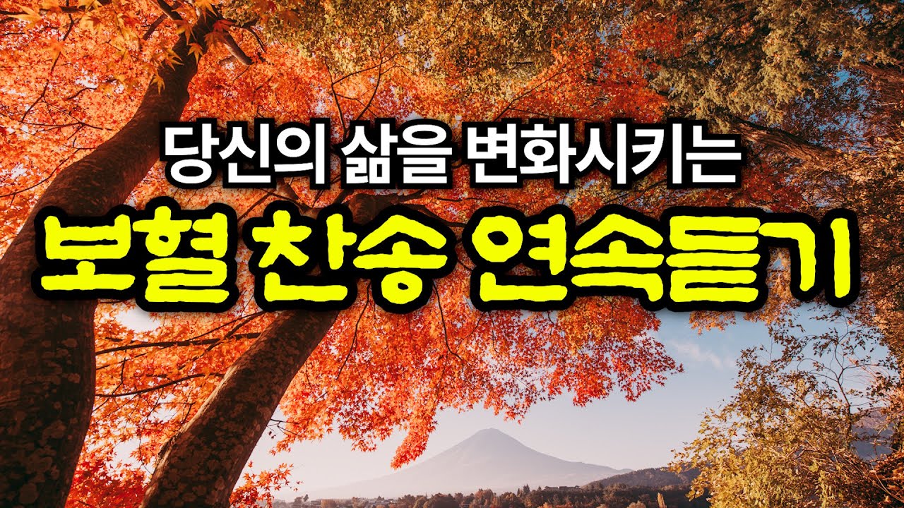 [보혈찬송모음] 죄 짐 맡은 우리 구주 | 보혈의 능력을 선포 | 기도와 명상 | 눈물로 기도하며 불렀던 그날의 찬양 | 새벽기도용 3시간 연속재생 | 중간광고없음 | Hymn