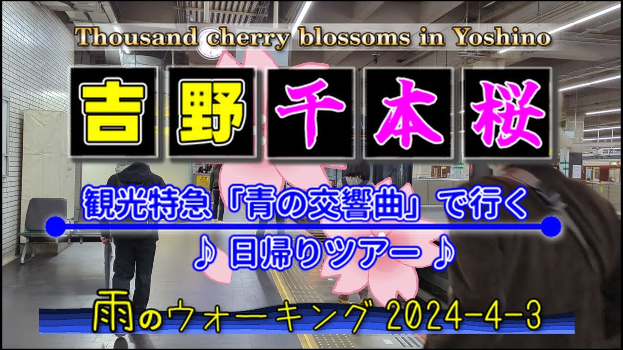 吉野千本桜☆ウオーキング