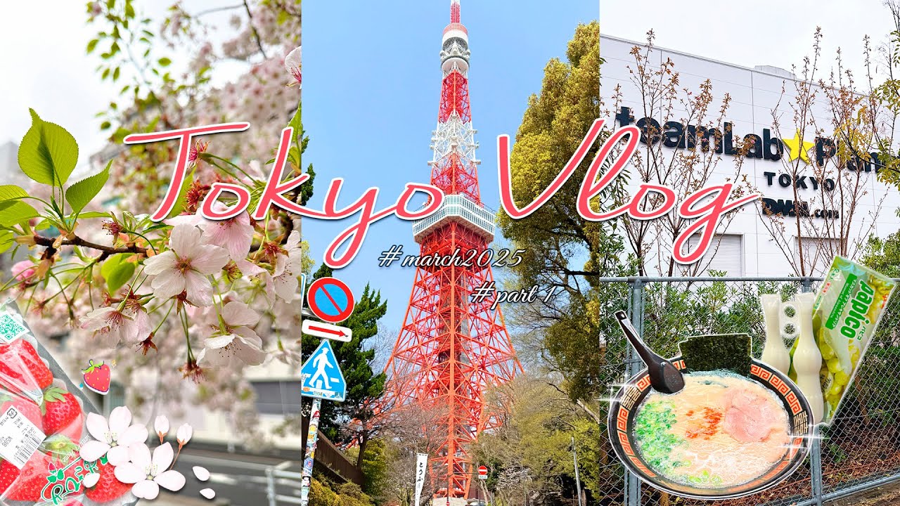 JAPAN VLOG🌸 | sakura in Tokyo,  shopping Ginza, TeamLab, 7-Eleven, Tokyo Tower | march 2025 Япония!