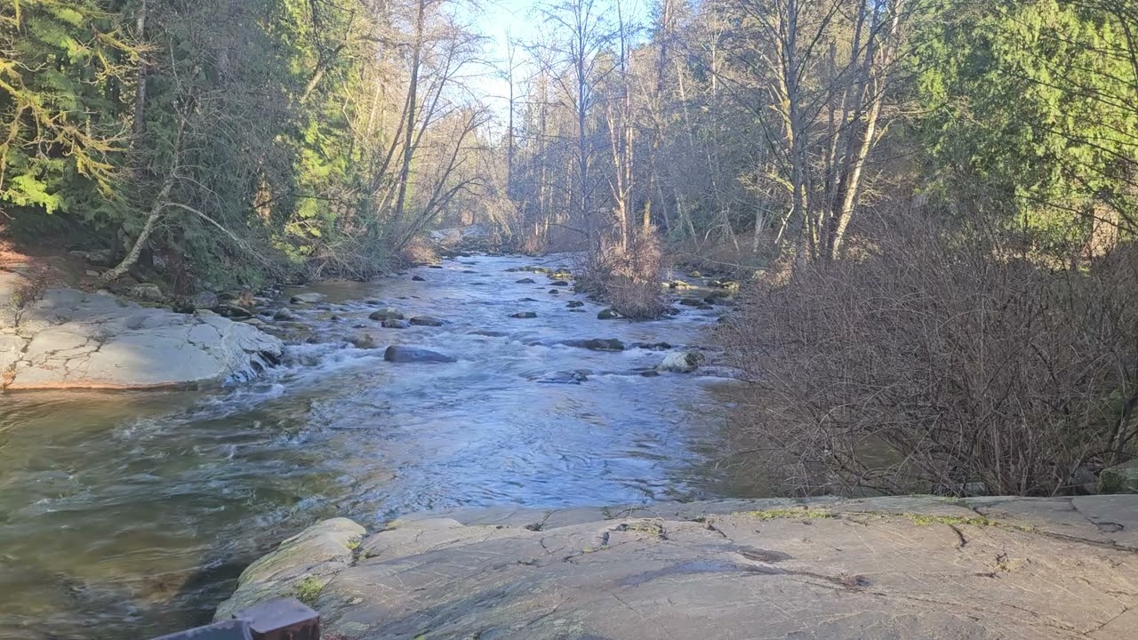 The relaxing sound of nature 