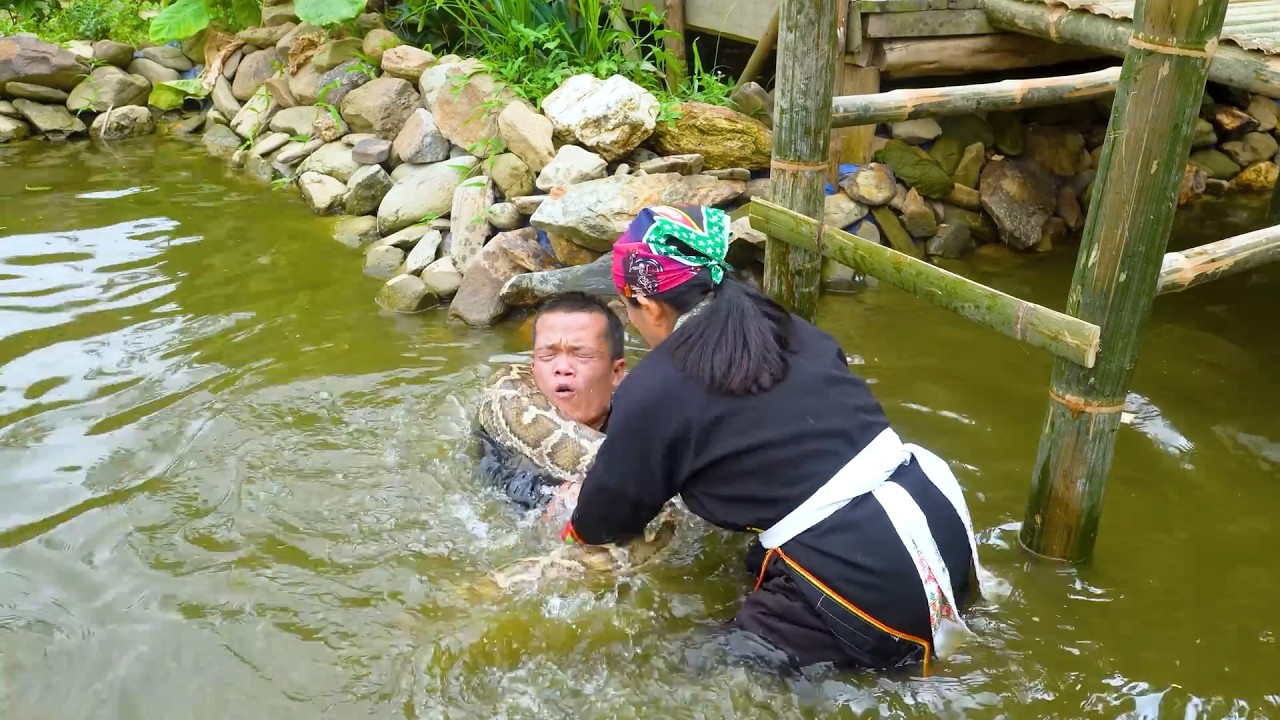 Dwarf Family Faces a Giant Python While During Bamboo Bridge Construction
