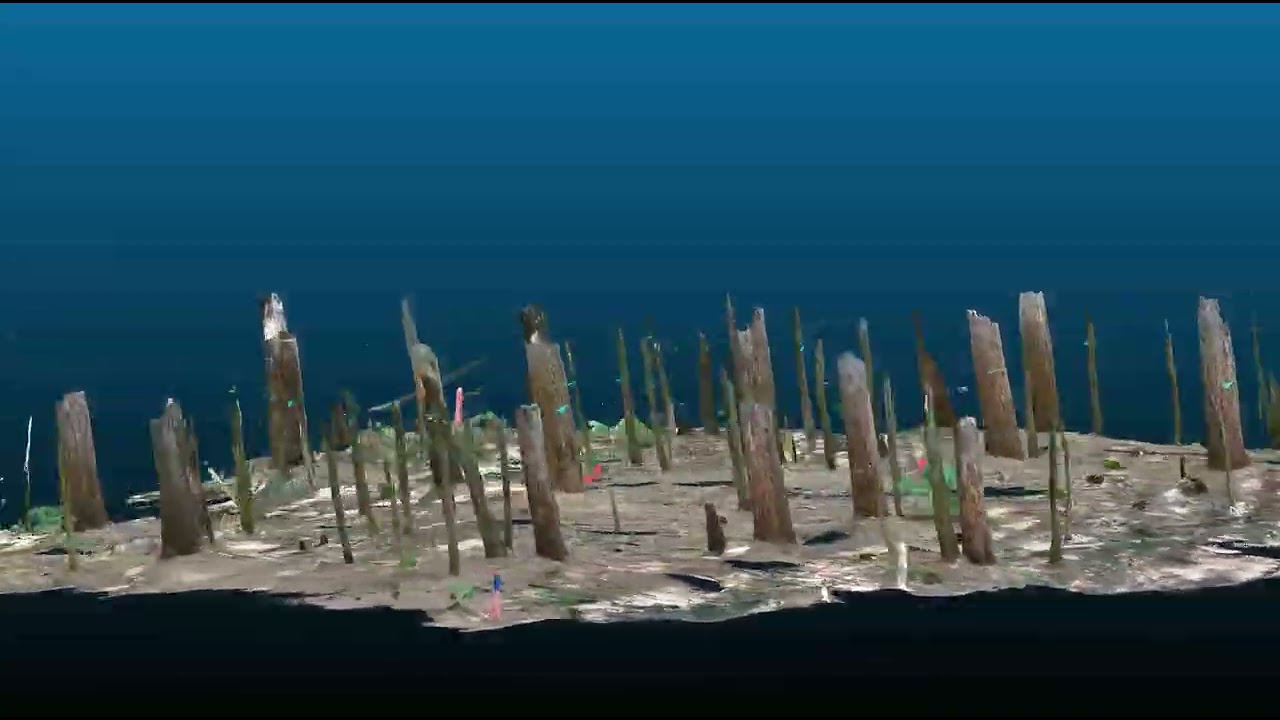 CloudCompare (360&deg; Visualization):Georectified LiDAR Scan of Plot JJ at Canadian Forces Base Borden