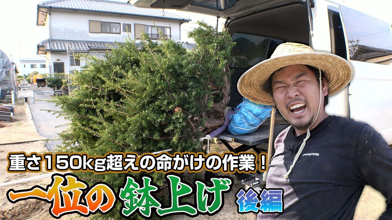 【後編】樹齢100年！秘境の畑で採る一位の鉢上げ いざ平松春松園へ！