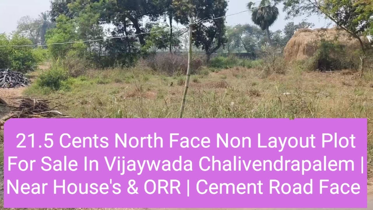 21.5 Cents North Face Non Layout Plot For Sale In Vijaywada Chalivendrapalem | Near House's & ORR