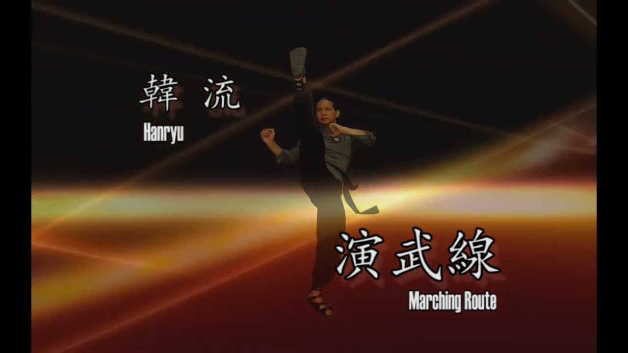 19 韓流 韩流 Hanryu 跆拳道品勢