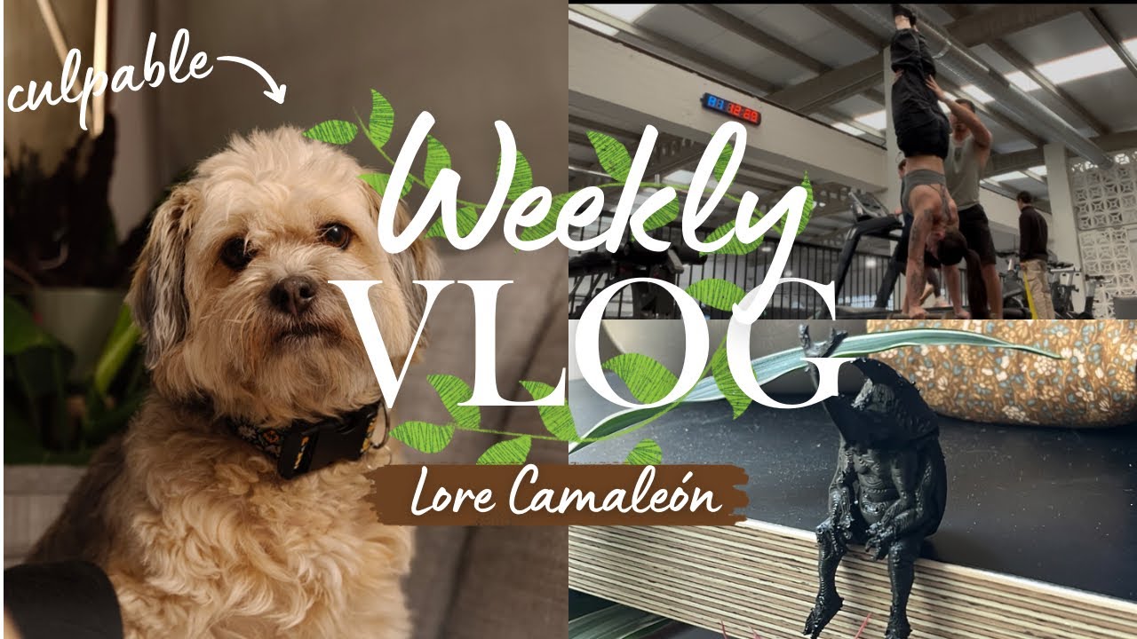 VLOG: Mi perra se COME TODAS MIS PLANTAS 🪴 