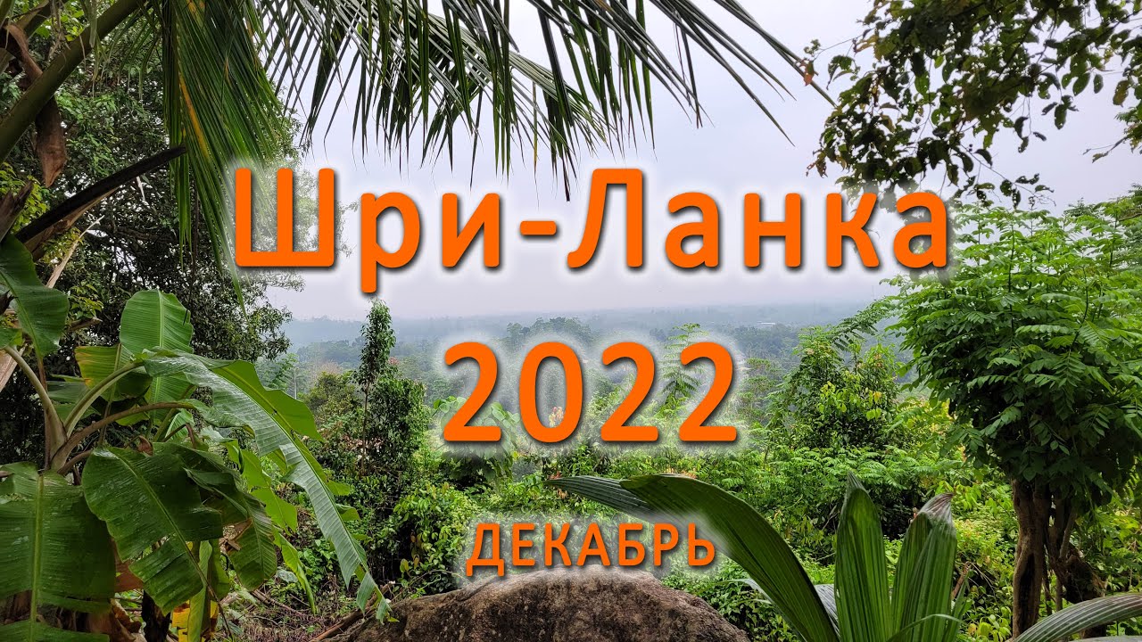 Дикарями на Шри-Ланку. Декабрь 2022