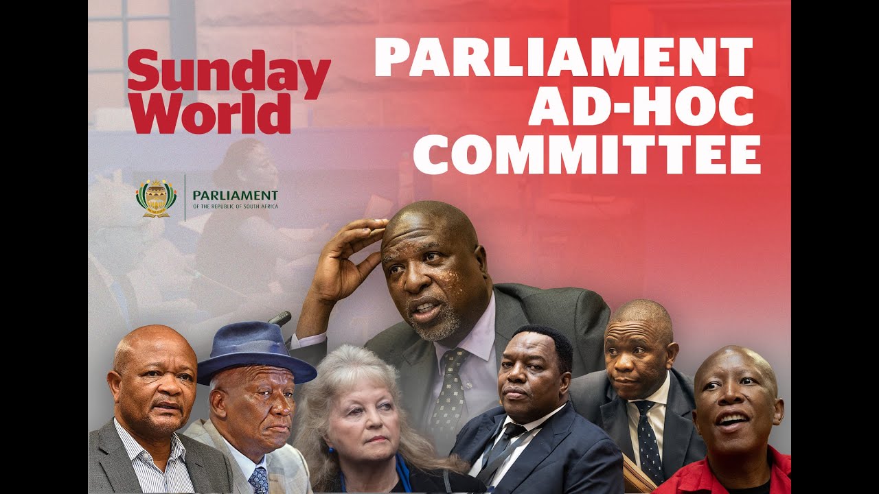 Ad Hoc Committee| 12 March 2026