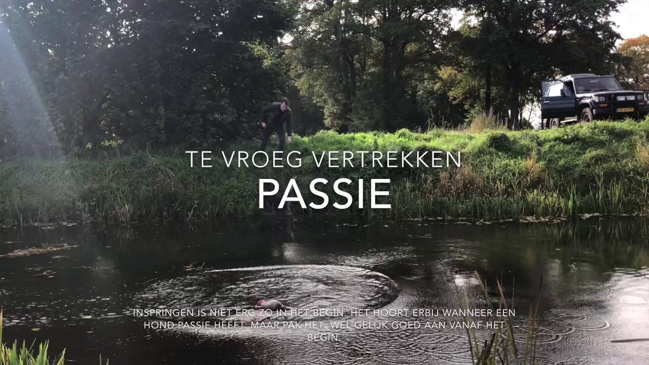 De Breborgh Duitse Staande Korthaar 7 Maand