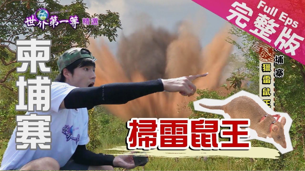 【柬埔寨】打陶罐/送水節/敲米小吃/洞里薩湖河鮮/獵雷鼠王 ｜《世界第一等》853集完整版