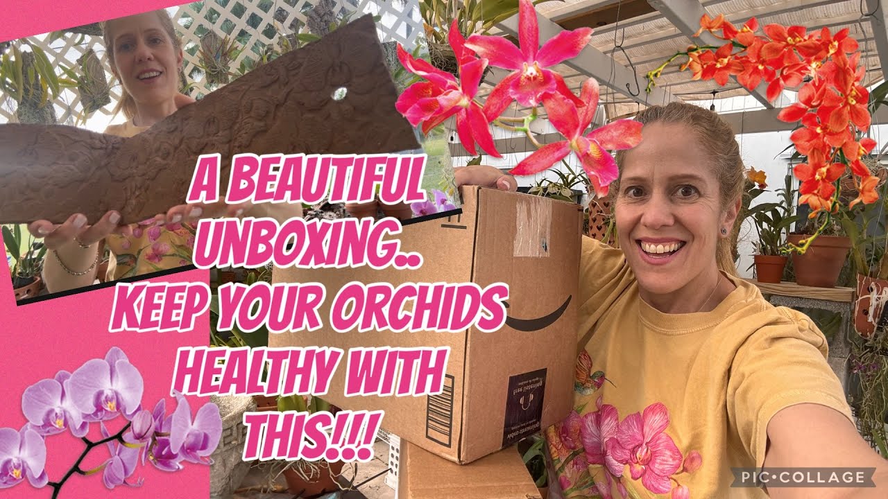 Save your orchids from overwatering! Beautiful unboxing 