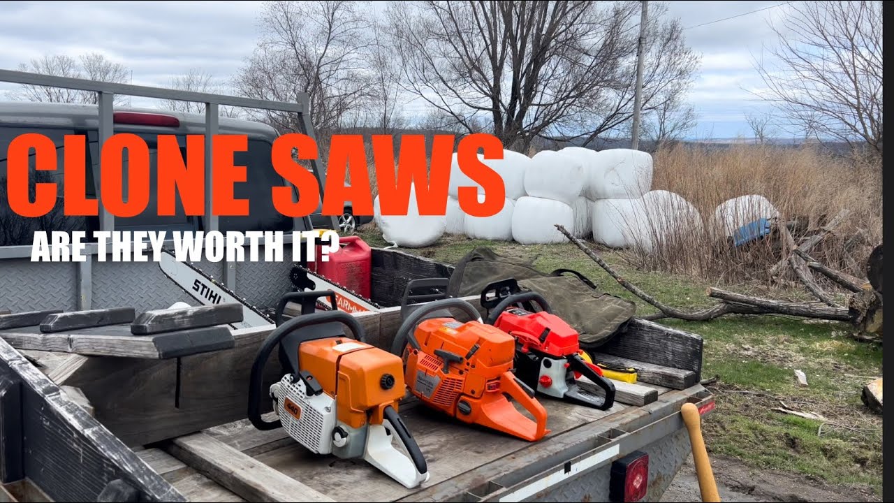Clone saws! Are they worth it? #chainsaws #diy #firewood #SOTF: