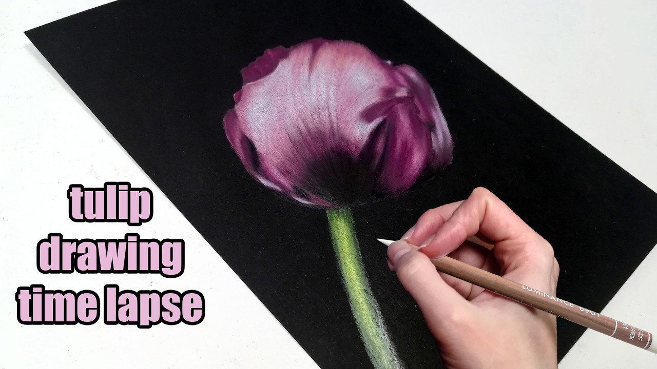 Draw AMAZING Flowers with Caran d'Ache Luminance