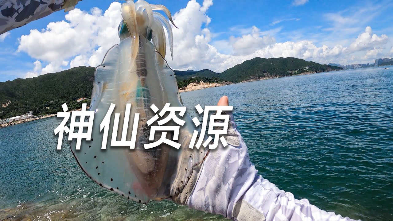 釣魷魚上癮，只因香港資源太好
