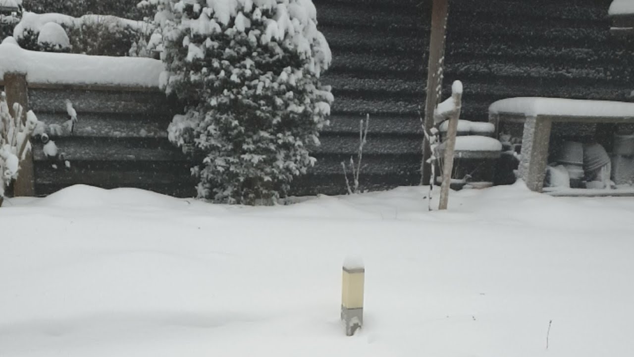 Let it Snow