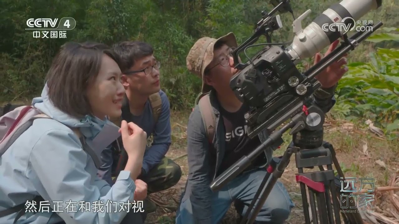[远方的家]高黎贡山的自然故事 密林之中寻找菲氏叶猴 | 中华地图
