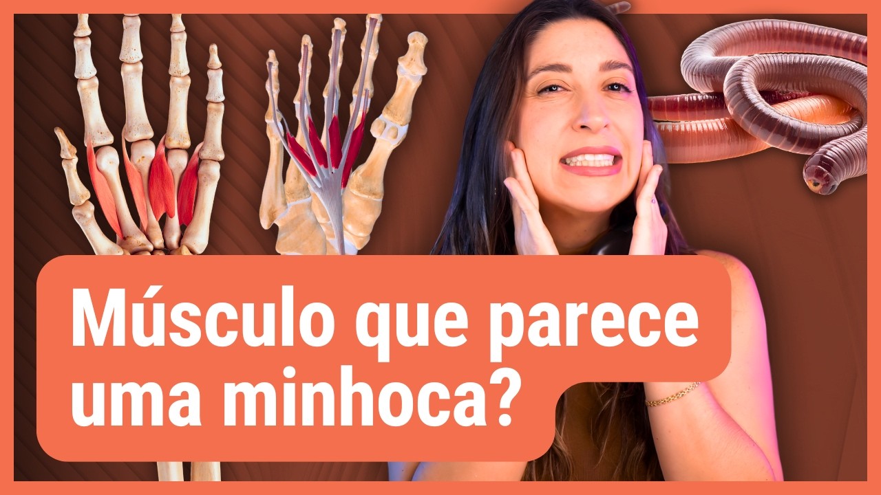 5 MÚSCULOS COM NOMES CURIOSOS e o que eles fazem - parte 4