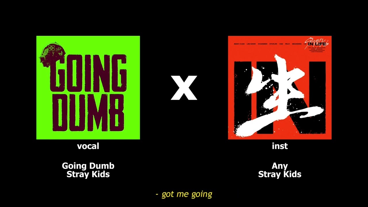 Going Dumb X 아니(Any)