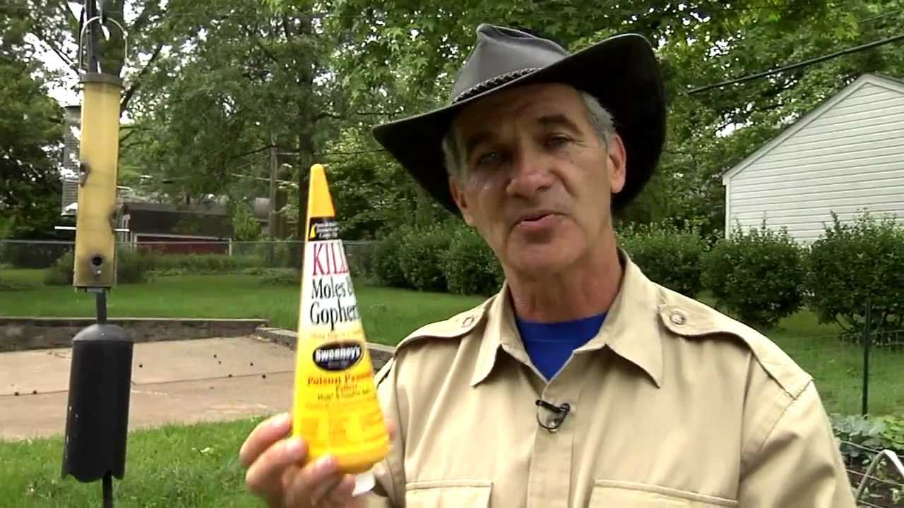 Kill moles and gophers with Sweeney's Poison Peanuts