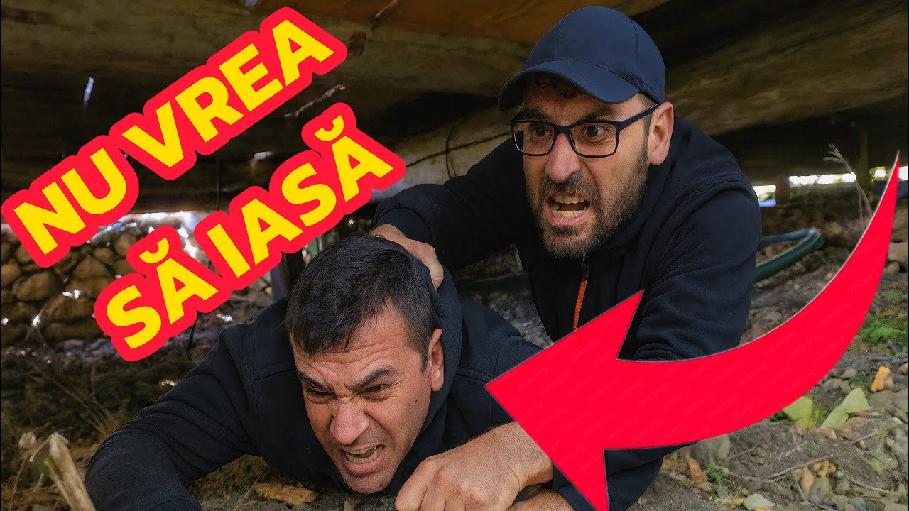 PANICĂ LA CĂSUȚĂ! Costică a dispărut sub cabană și refuză să iasă 😂