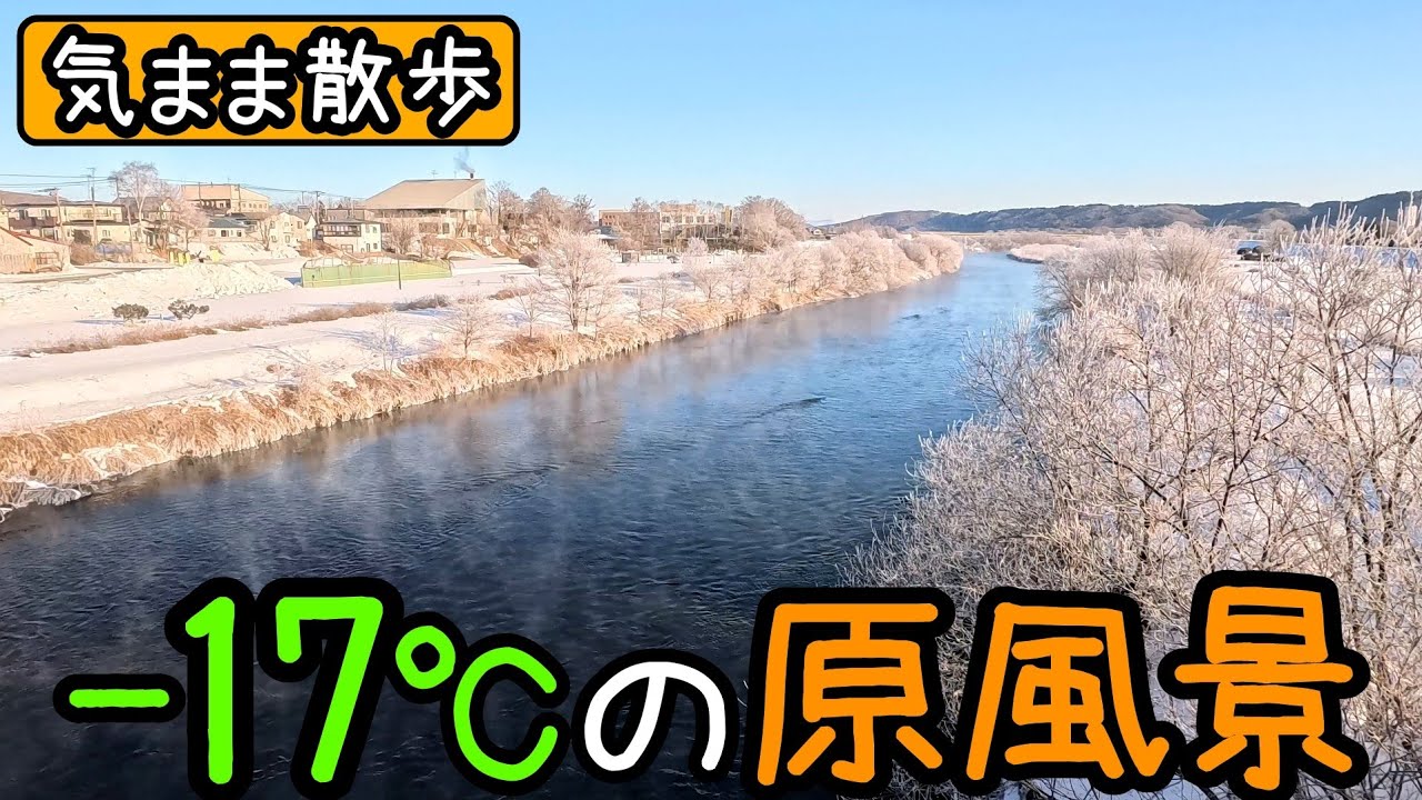 【気まま散歩】真冬の朝に通学路を行く。樹氷が美しい日でした。【標茶町 : 2026年1月25日撮影】