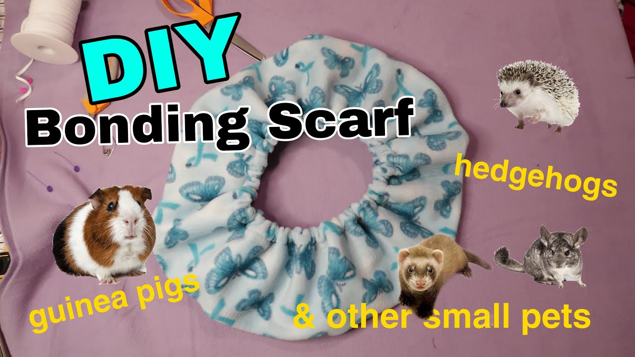 DIY Bonding Scarf for guinea pigs, hedgehogs,sugar gliders& other small pets