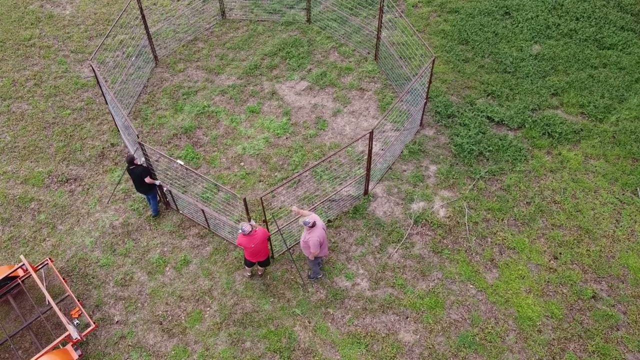 Setting up a reolink go PTZ hog trap.