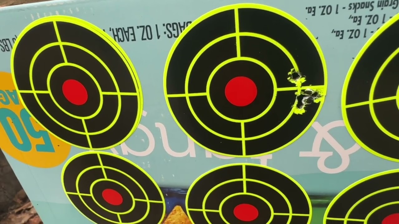 Skout EVO .25 cal