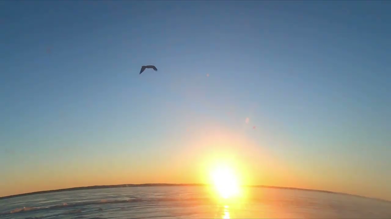 Sunrise SHEMA