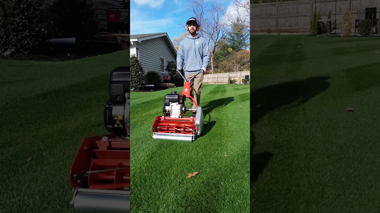 Reel mower for around $1k!? #rolux #mowing #mower #stripes #lawn #satisfying #oddlysatisfying