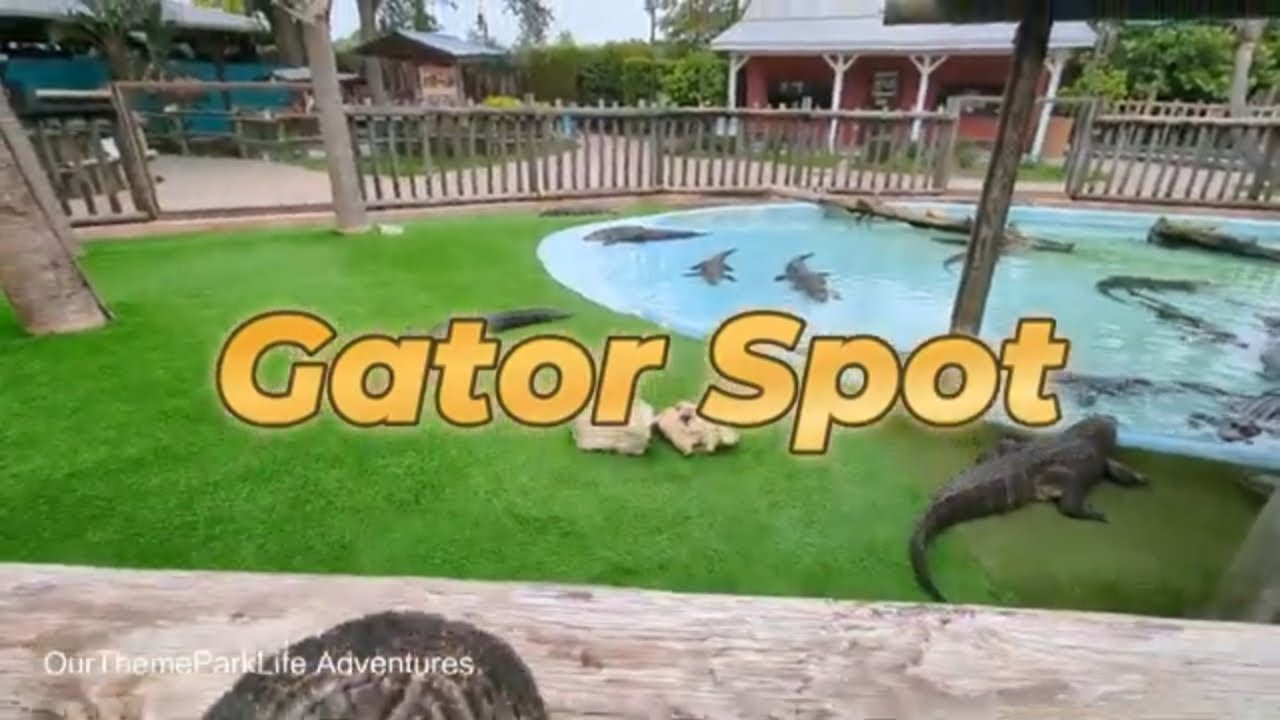 🐊 Exploring Gator Spot at Fun Spot America! | Up-Close with Gators & More! 🎢🐍