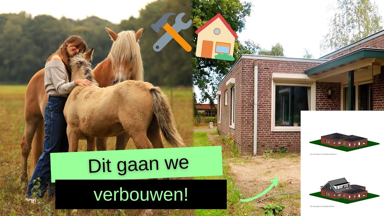 Herfst & winterverblijf voor de paarden & dit wordt ons huis! 🏡 | VLOG #157