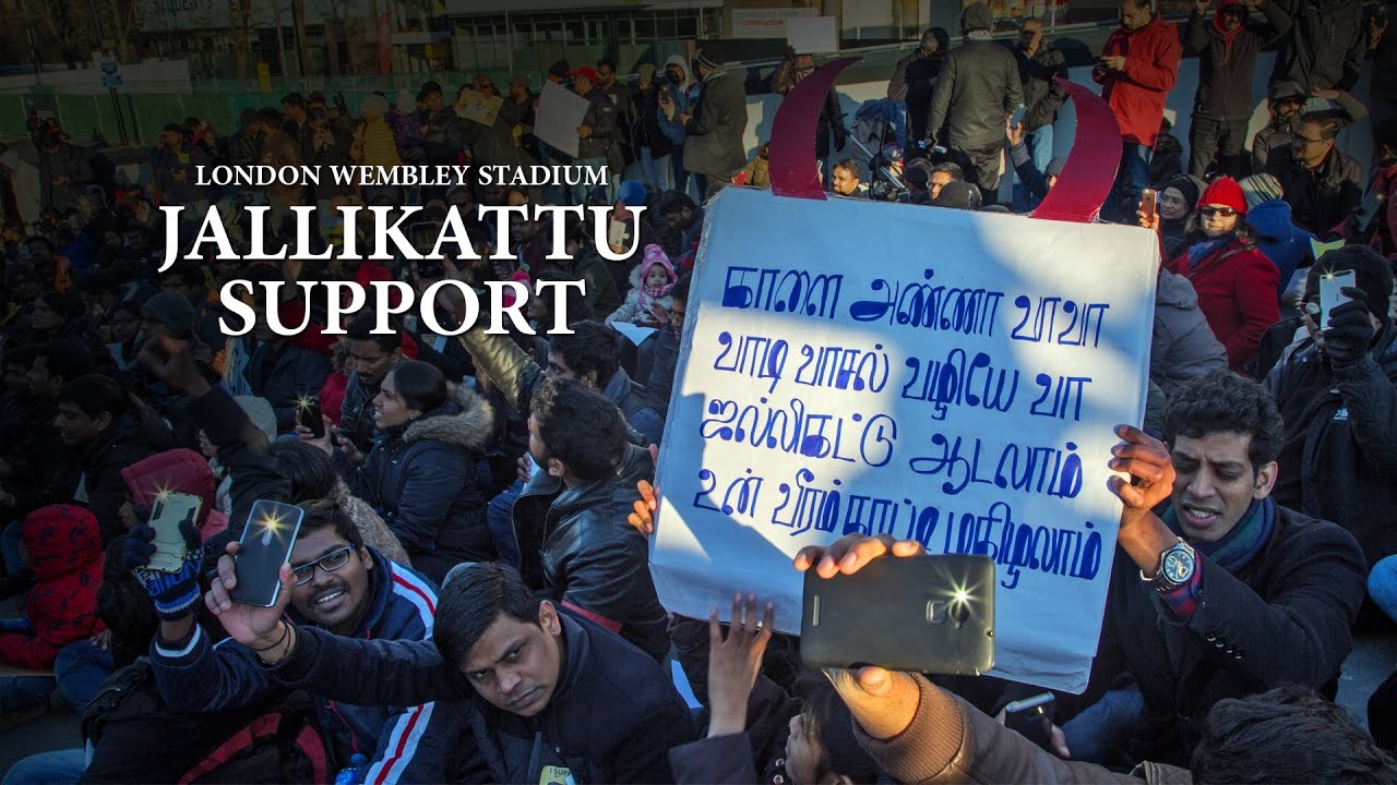 EMOTIONAL PROTEST FROM LONDON TAMILS TO SAVE JALLIKATTU