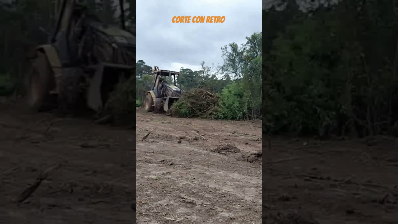 limpieza y corte de maleza con CAT 420D