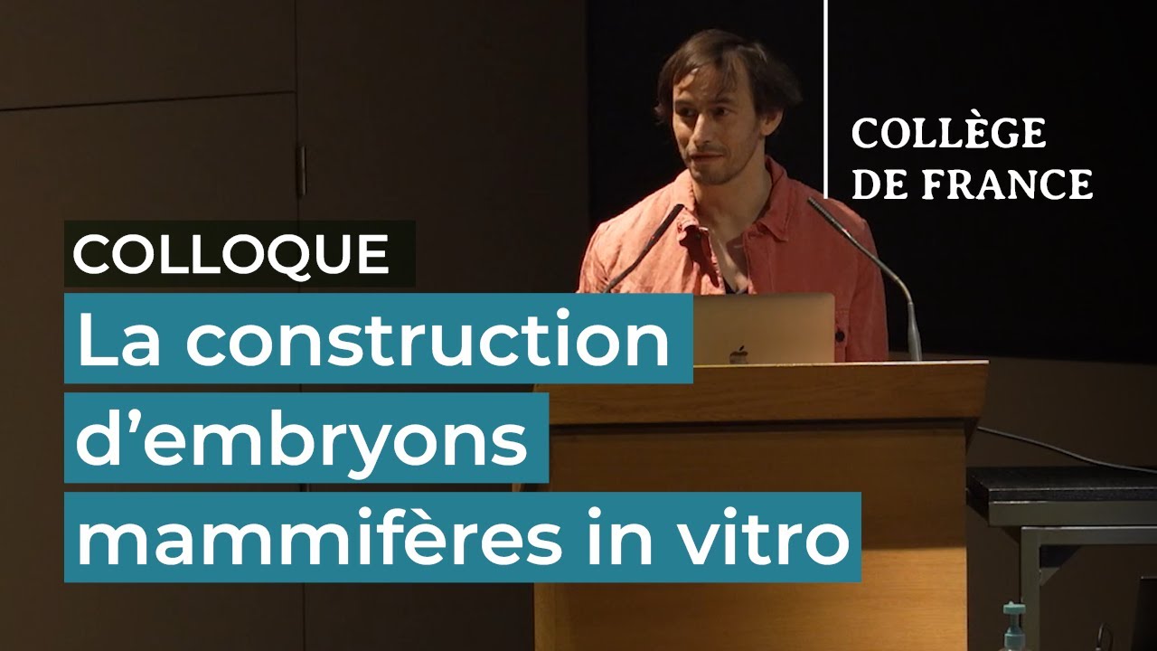 La construction d'embryons mammif&egrave;res in vitro (3) &ndash; Denis Duboule (2021-2022)