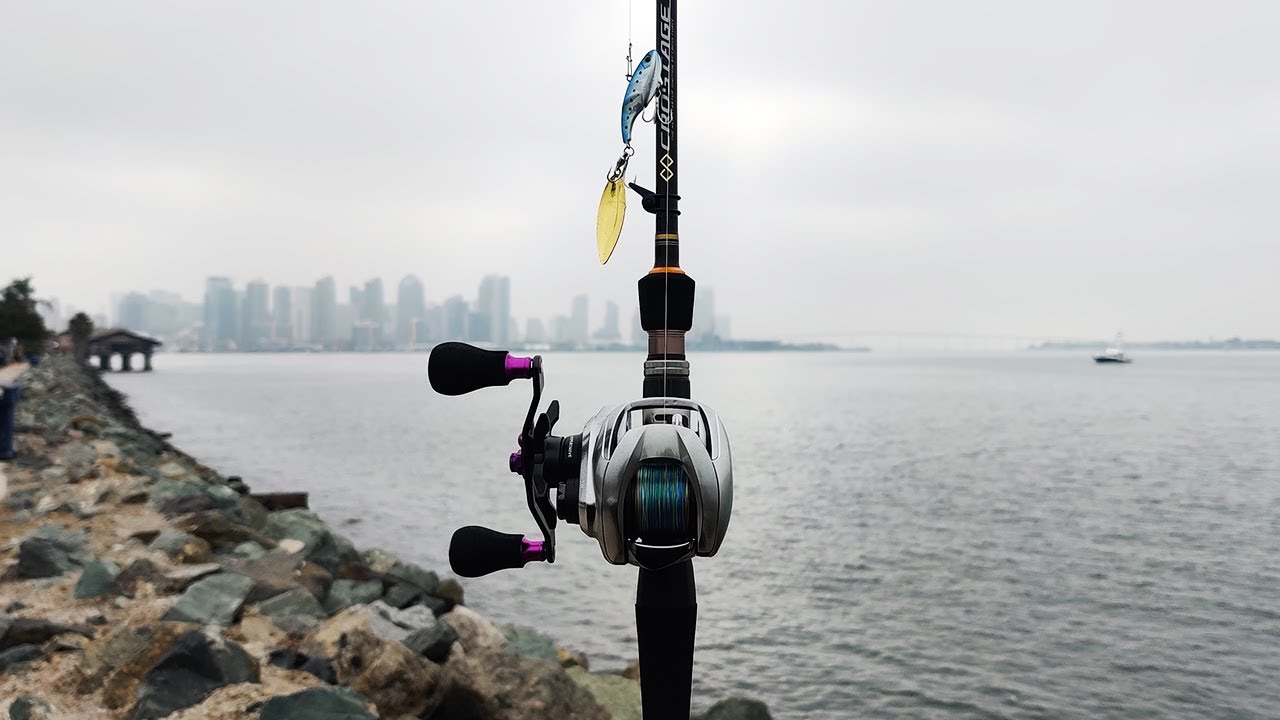 *NEW* Rod & Reel! -- Fall Fishing in San Diego Bay