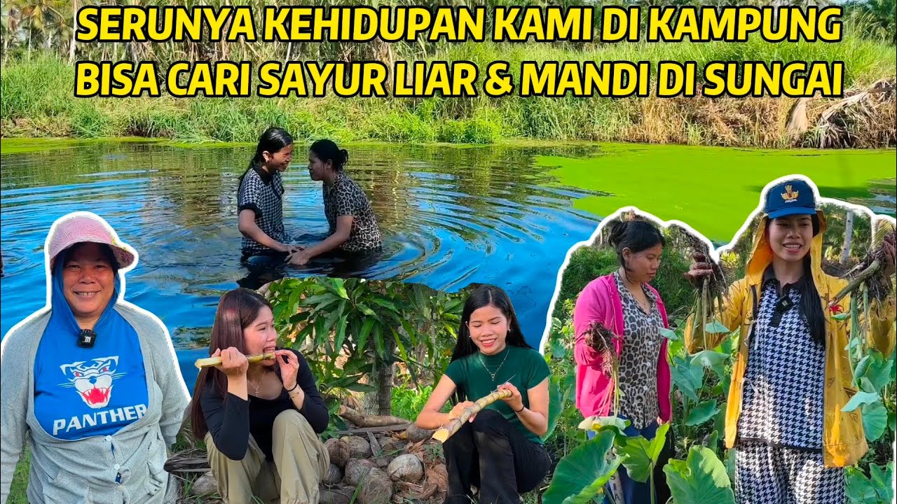 KEHIDUPAN DI DESA CARI SAYUR LIAR DI KEBUN BERSAMA MAMA, SORENYA MAKAN KELAPA & TEBU