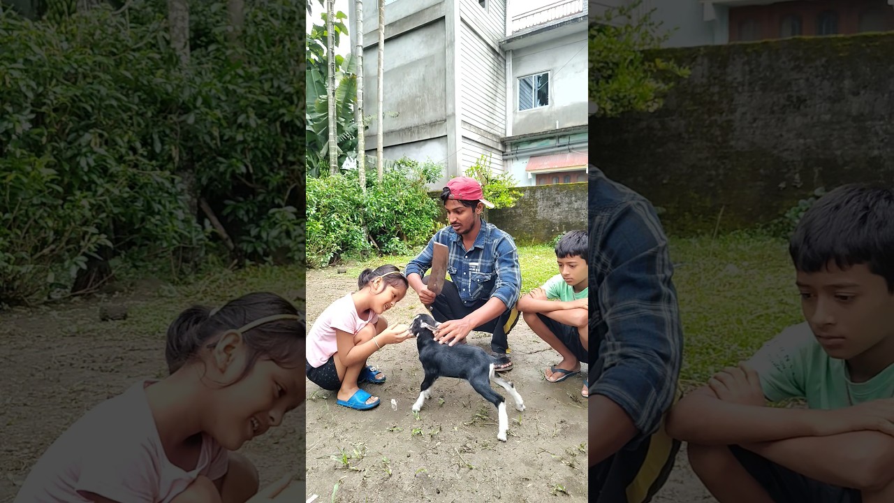 Save the goat 🐐 😭 #shorts #trending #viralvideo
