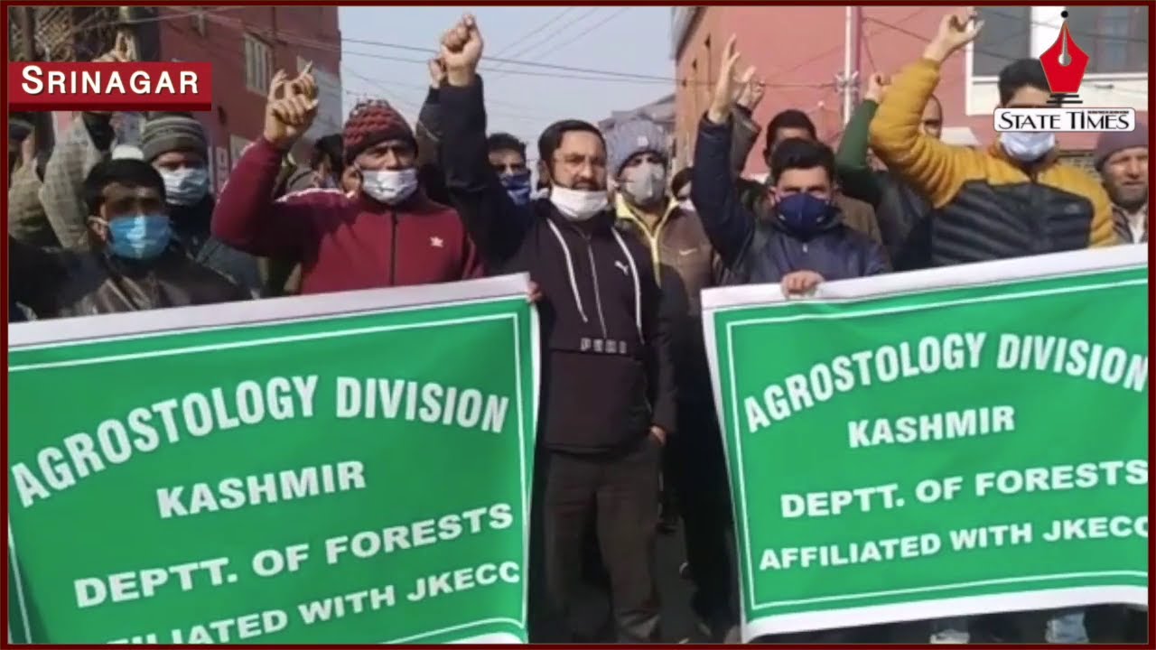 Forest employees demand release of pending wages, hold protest