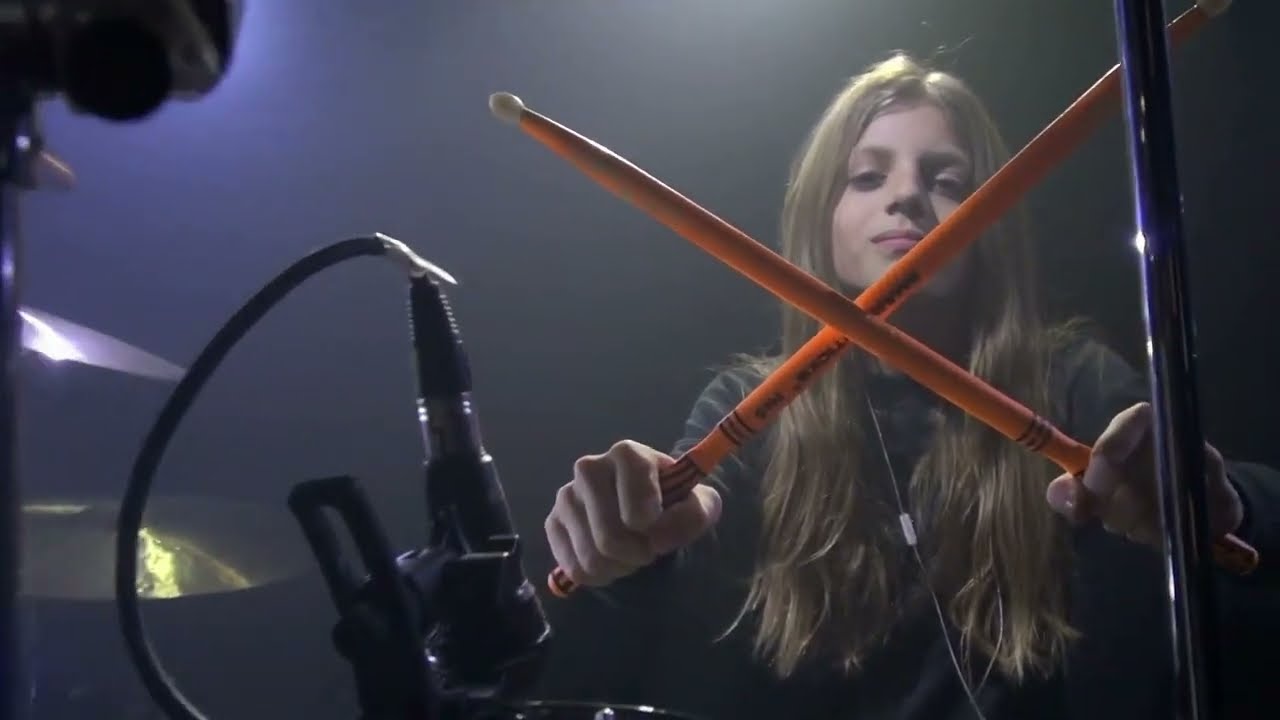 Animals as Leaders .Torque. LeonarD (cover).