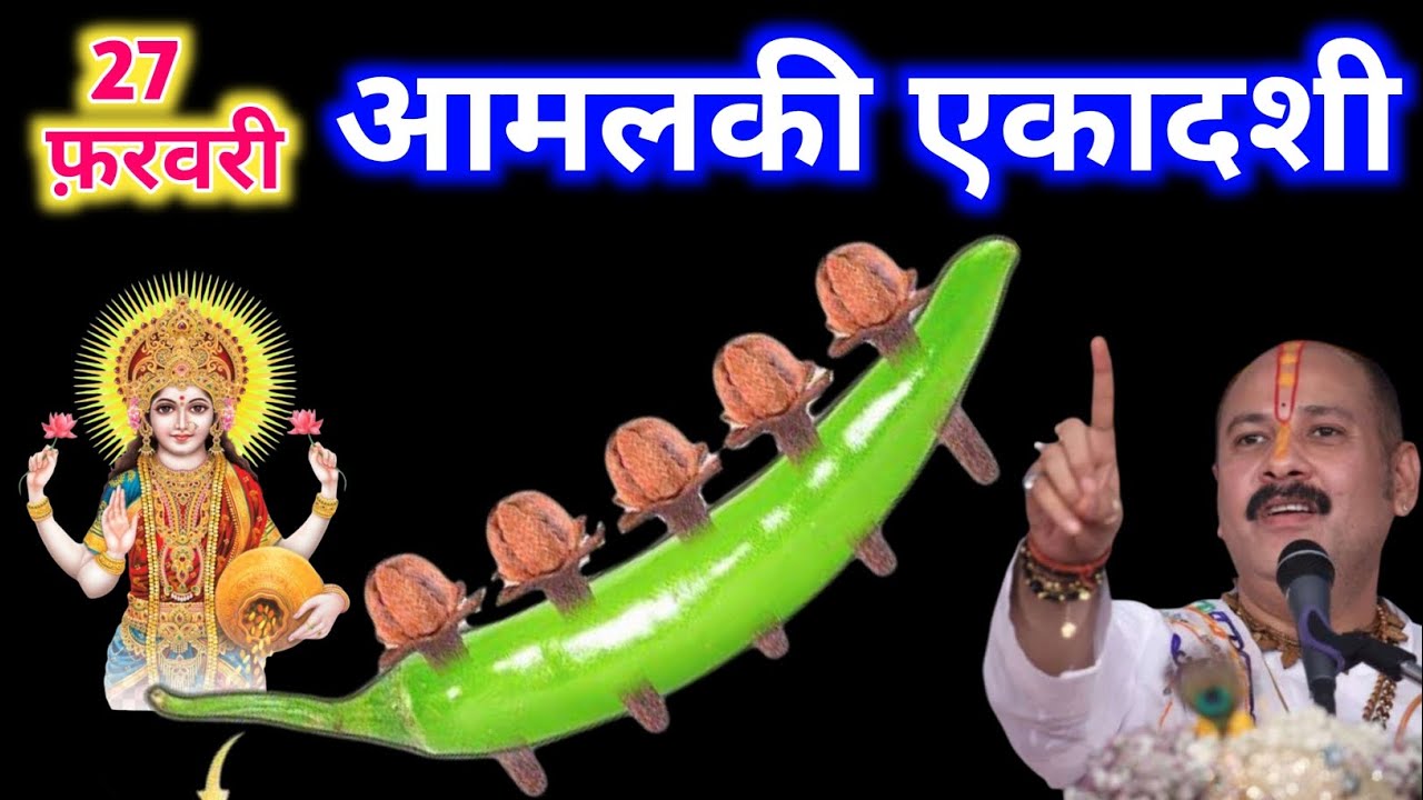 27 फरवरी शुक्रवार आमलकी एकादशी व्रत को 5 लौंग और एक हरी मिर्च वाला उपाय जरूर करे| pandit mishra ji