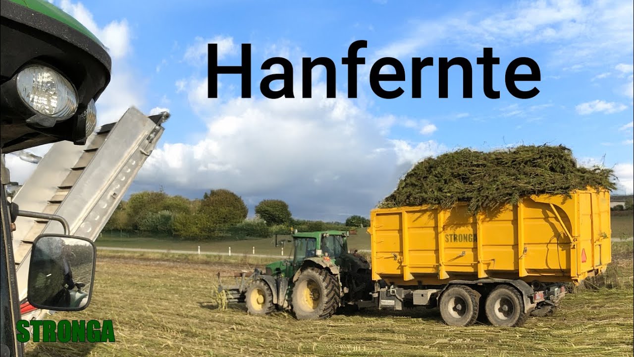 CBD Hanfernte - F&ouml;rderschneidwerk
