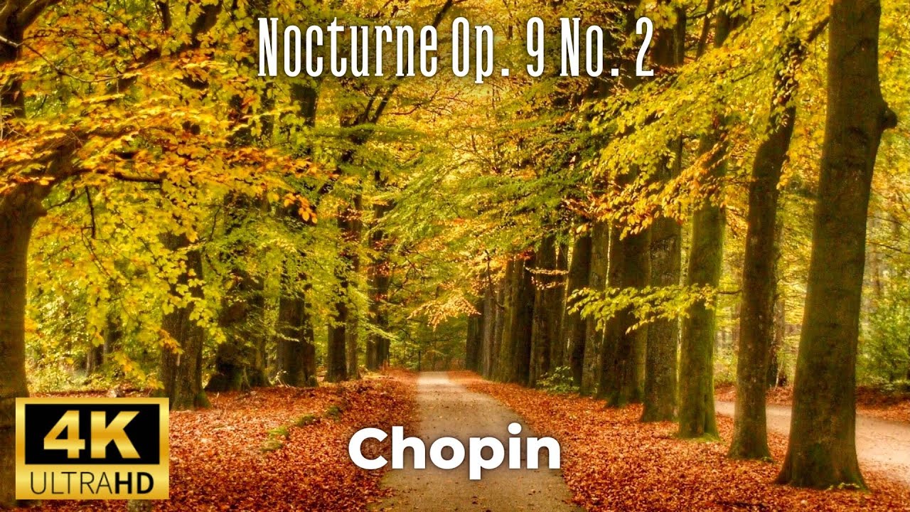 Chopin - Nocturne Op. 9 No. 2 | Шопен - Ноктюрн ми-бемоль мажор, соч. 9 № 2