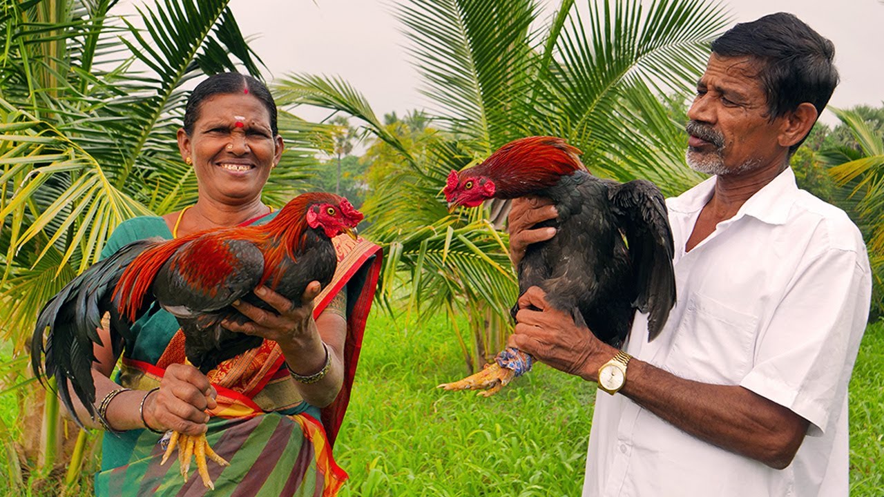 Two King of Chicken Curry | Country Chicken Koottu Kulambu Cooking in Village | Side Dish Recipes