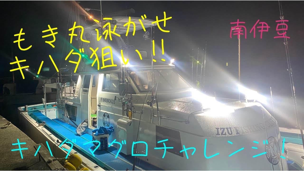 [キハダマグロ]南伊豆もき丸で泳がせ！キハダにヒラマサも！？