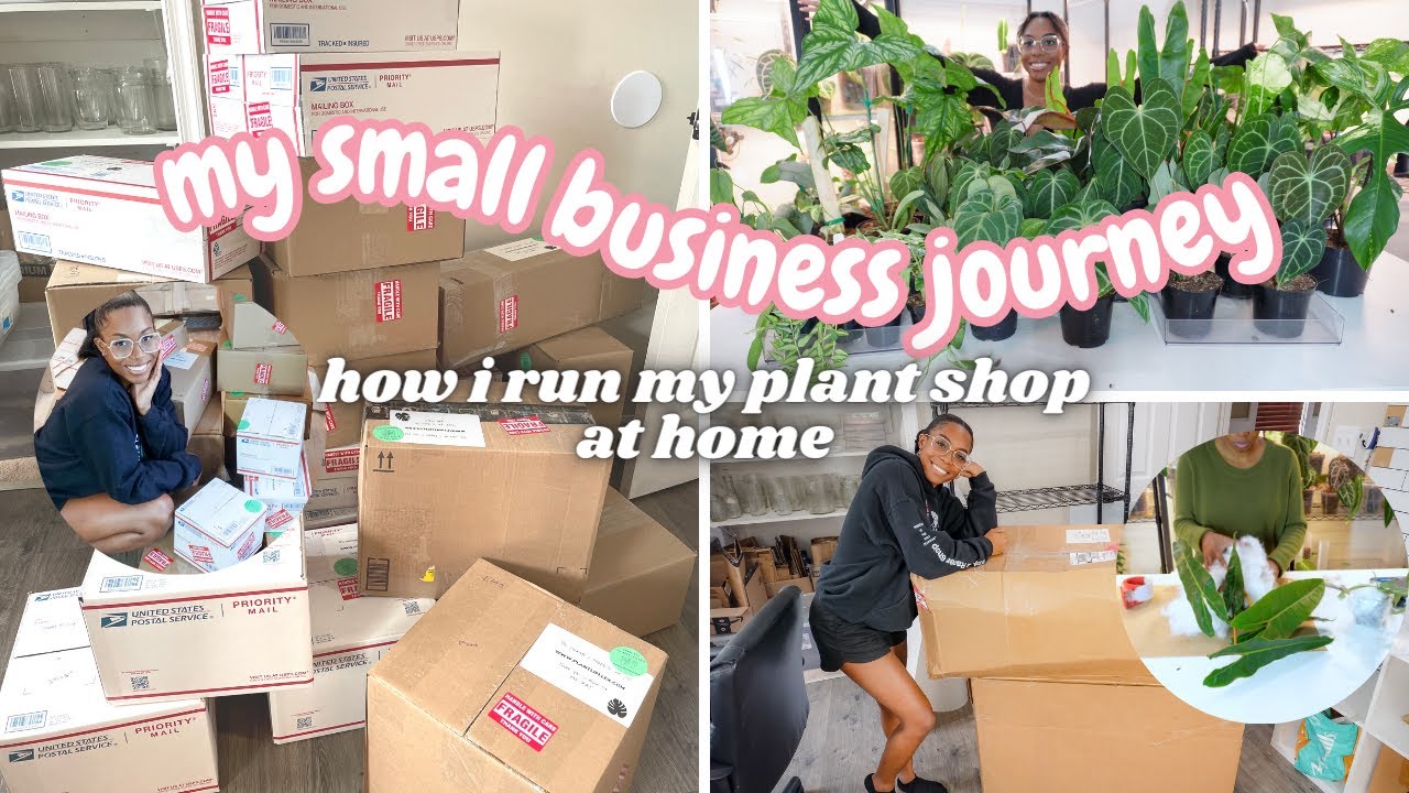 Small Business Journey, Packing Orders, Plant Room Tour, Restocking, How I Run My Plant Shop At Home