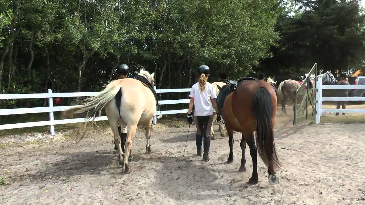 WINDSPORT-Insel FANÖ Dänemark 2013 - Clip 20: REITEN