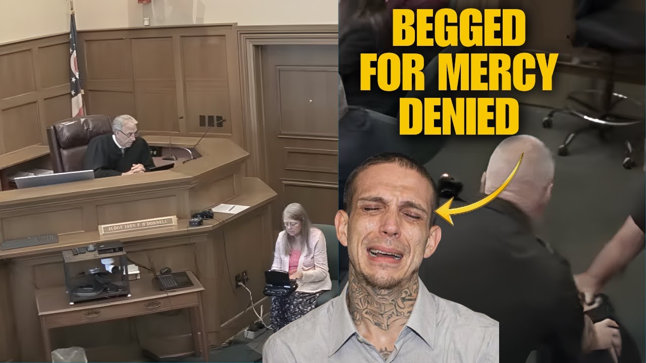 Judge DEMANDS Prison After Defendant Explodes During Sentence #Justice #Law